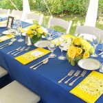 Blue Elephant Events and Catering, Catering Portland Maine Events Kennubunkport Kennebunk Maine weddings