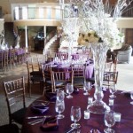 Blue Elephant Events and Catering