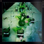 Blue Elephant Events and Catering