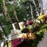 Blue Elephant Events and Catering at Coastal Maine Botanical Gardens, Boothbay Maine