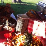 Blue Elephant Events and Catering at Laudholm Farm, Wells ME