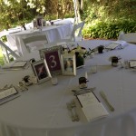 Blue Elephant Events and Catering at Moffat-Ladd House