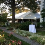 Blue Elephant Events and Catering at Moffat-Ladd House